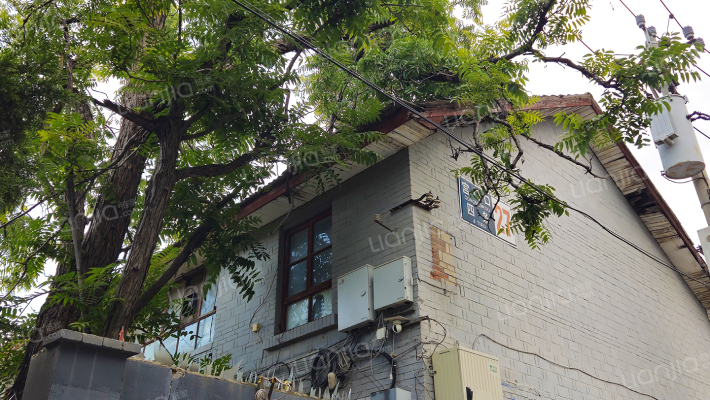 宫门口四条外景图