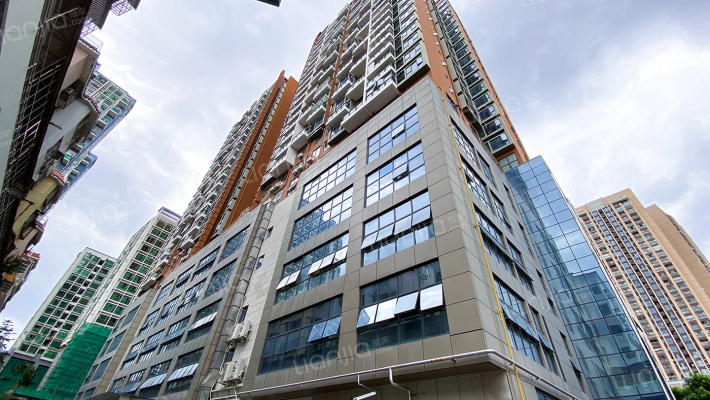 倚龙华庭外景图