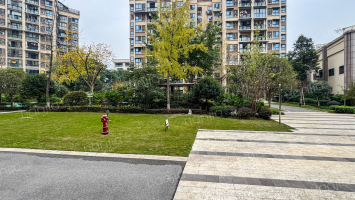 学府江山D区外景图