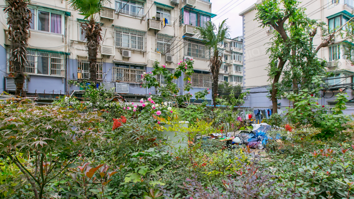 塘南路159弄外景图