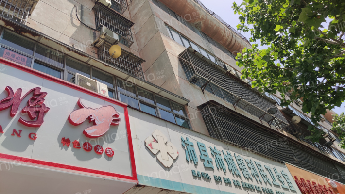 沛县科协楼外景图