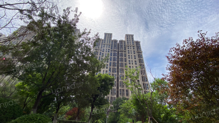 鲁能领秀城东三区外景图