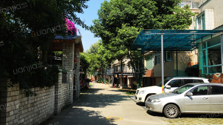 翠拥天地外景图