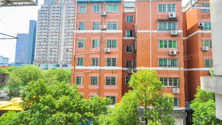 百树佳苑外景图