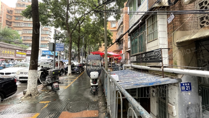 东新路21号外景图