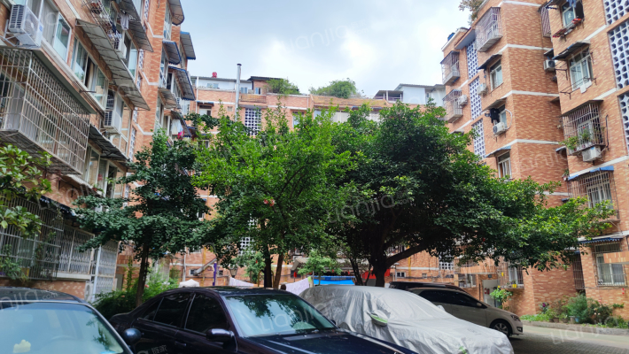 东方花园(龙泉驿)外景图