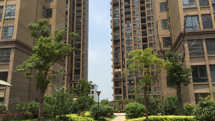 金色假日外景图