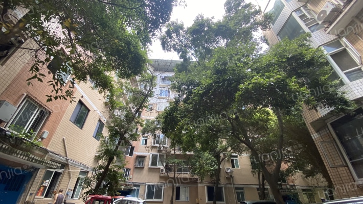 港通花园外景图