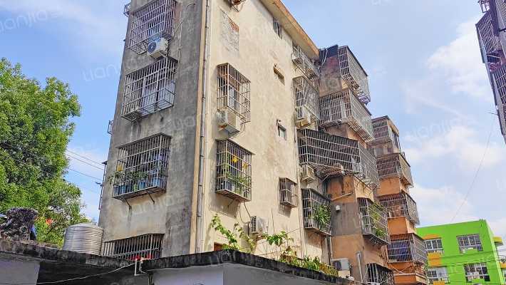 鸣阳路89弄5号外景图