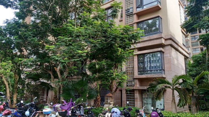 金城万花坊外景图