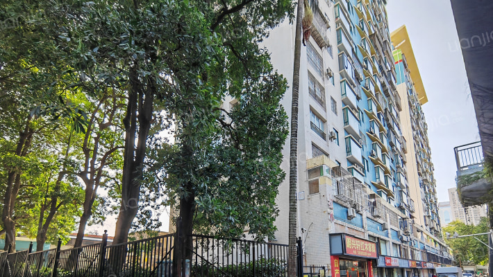 阳光百合外景图