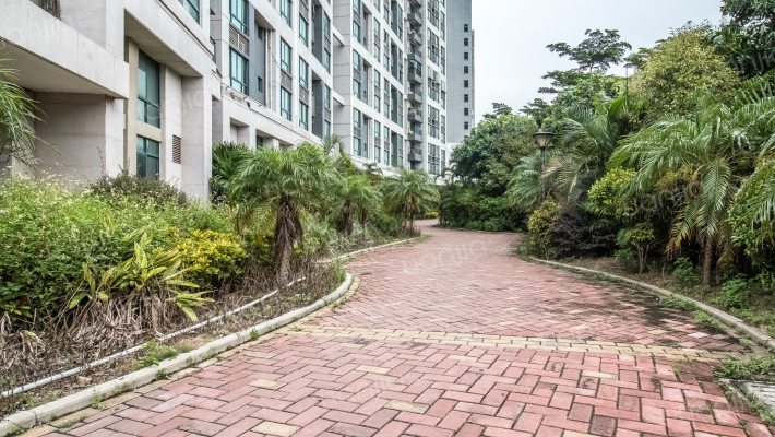 蓝色之都外景图