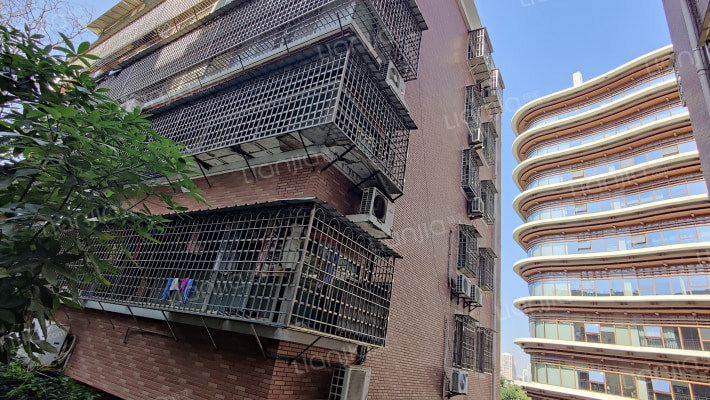 虎园路财政宿舍外景图