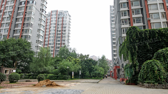 东环国际花园外景图