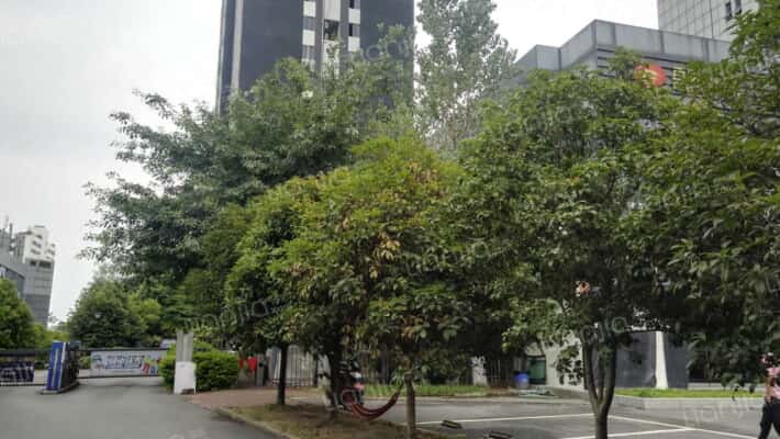 重庆睿尚moho房价怎么样睿尚moho房源户型图小区车位交通地址详情分析