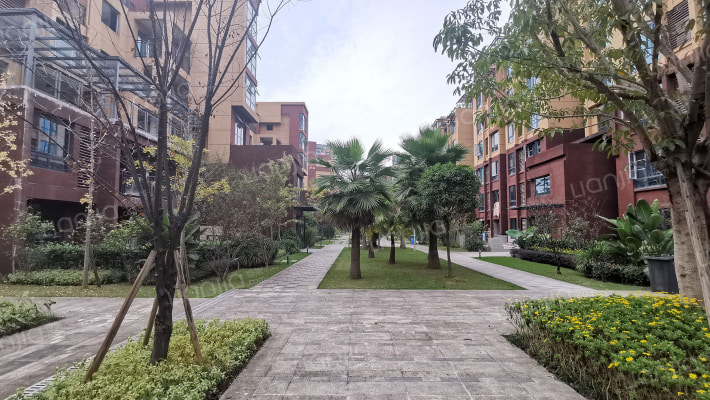 东方剑桥柔波里外景图