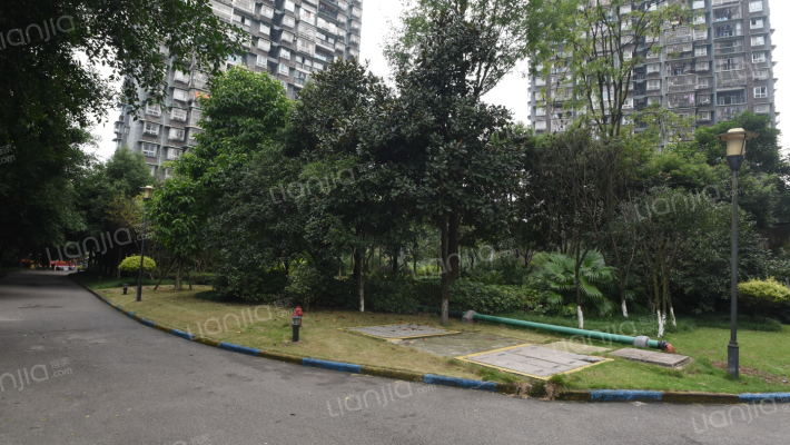 天府丽正丽东花园外景图