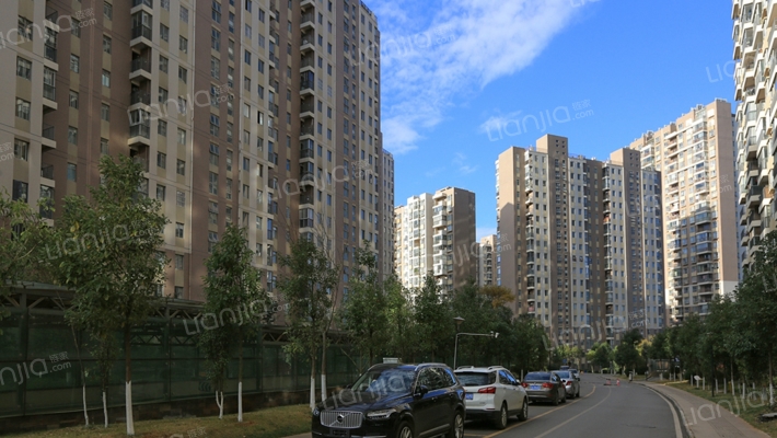 书香大地外景图