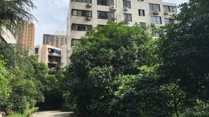 盛隆街2号外景图