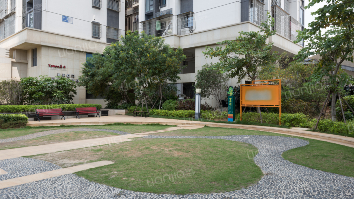 泰禾红门外景图