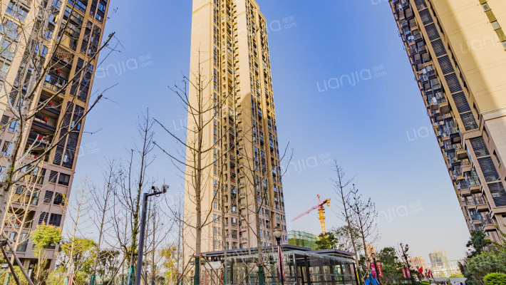 美联奥林匹克花园五期外景图