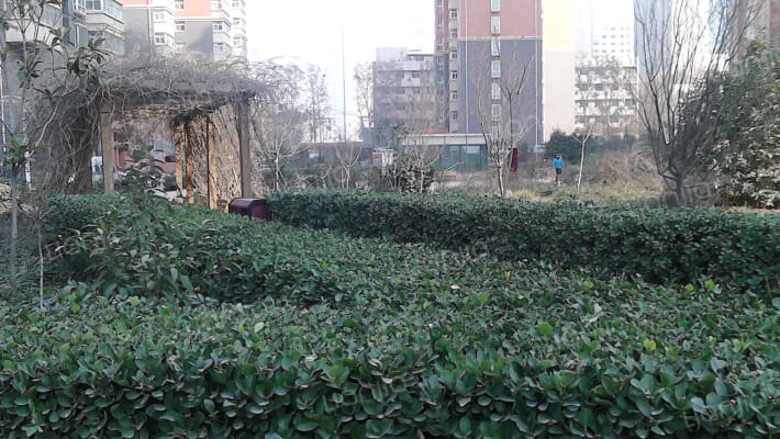 河南水利厅社区外景图