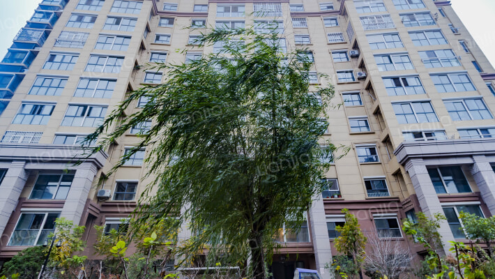 海洲铂兰庭外景图