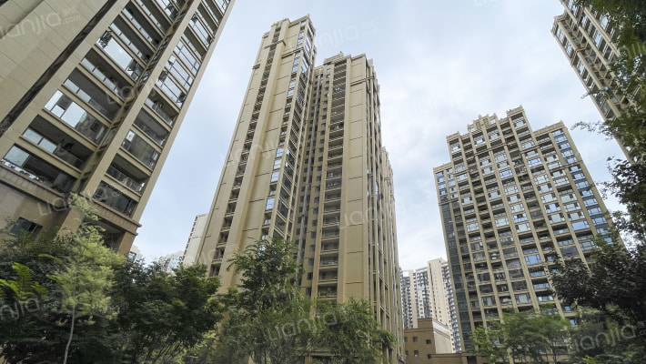 南湖国际中心外景图