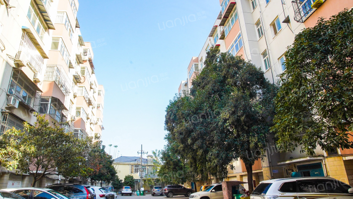 金苑小区外景图