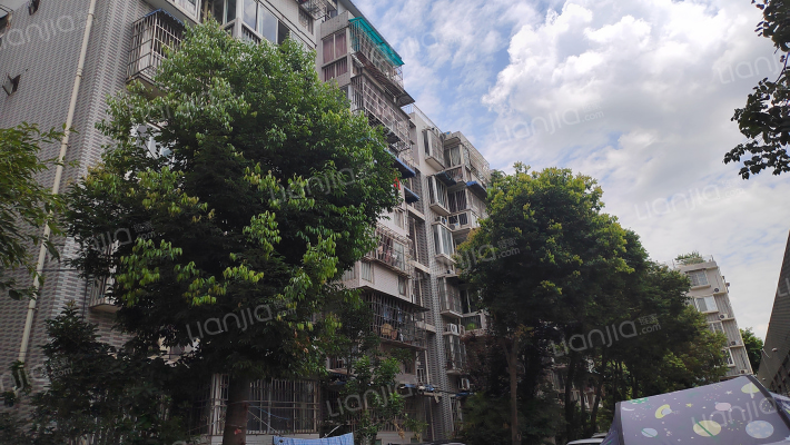 龙泉驿龙栖苑外景图