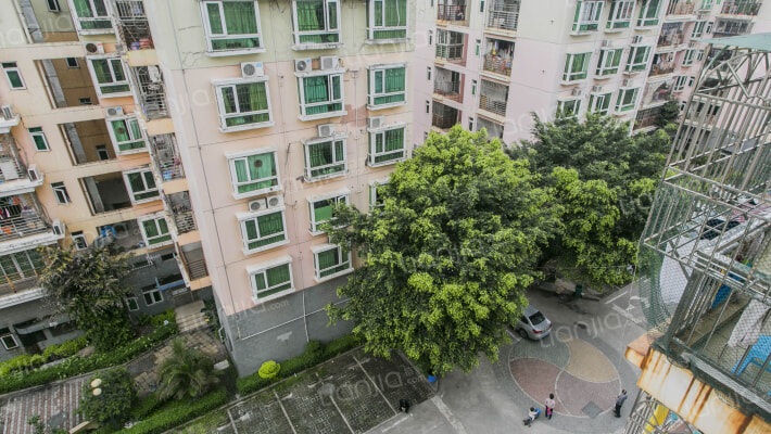 锦城星苑一期外景图