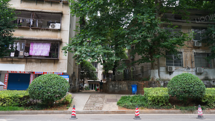 青园路121号外景图