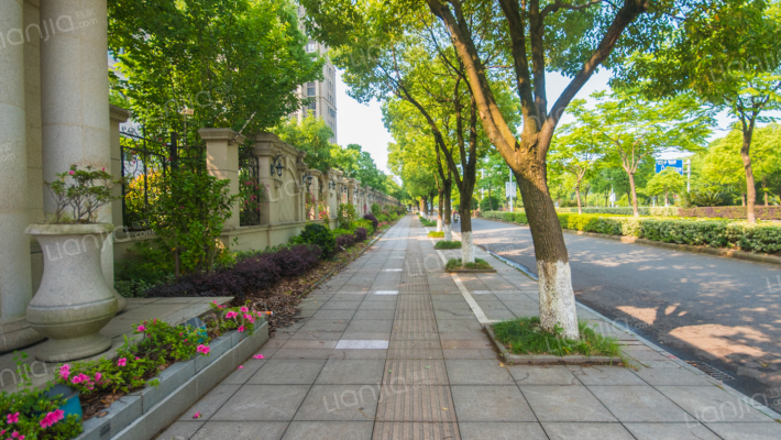 光明领峰外景图