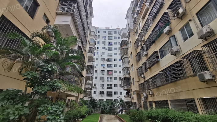 罗牛山大院外景图