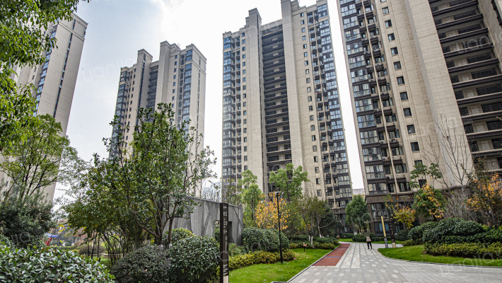 和昌香樟原著外景图