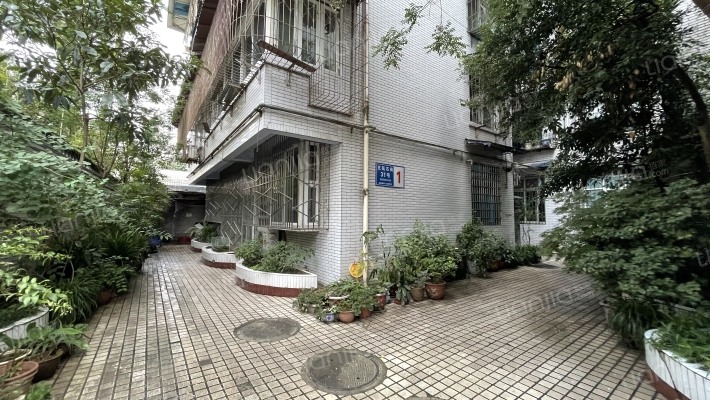 支矶石街31号外景图