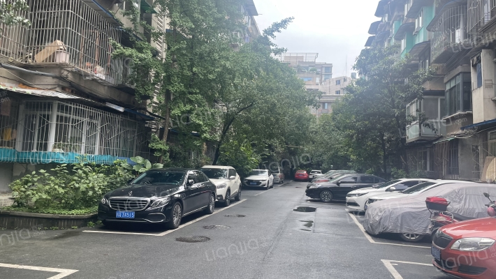 枣子巷13号外景图