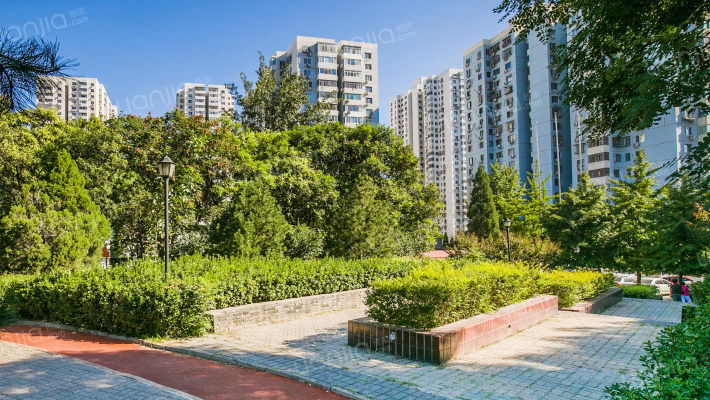 南湖东园一区外景图