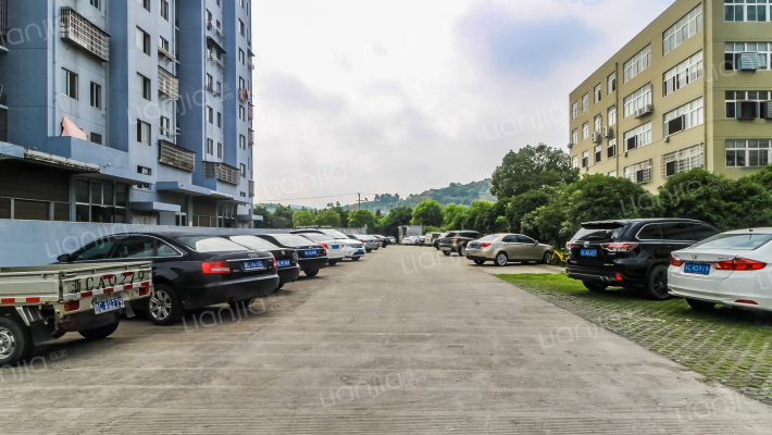 东鑫大厦外景图