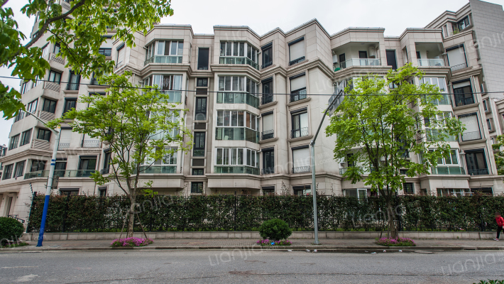 大华朗香花园(二期)外景图