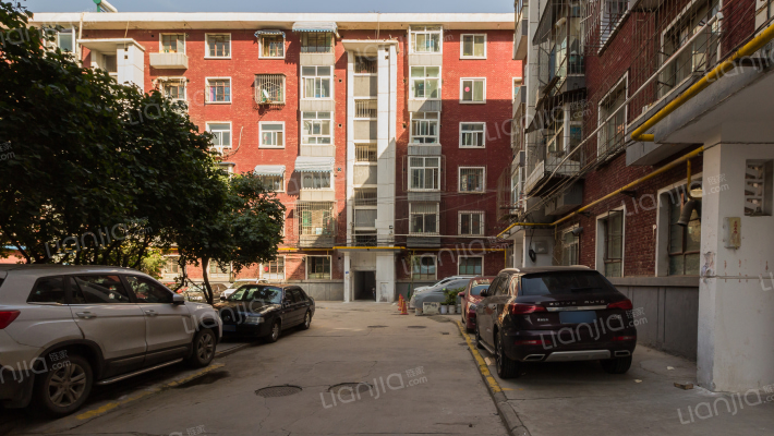 市造纸厂家属院外景图