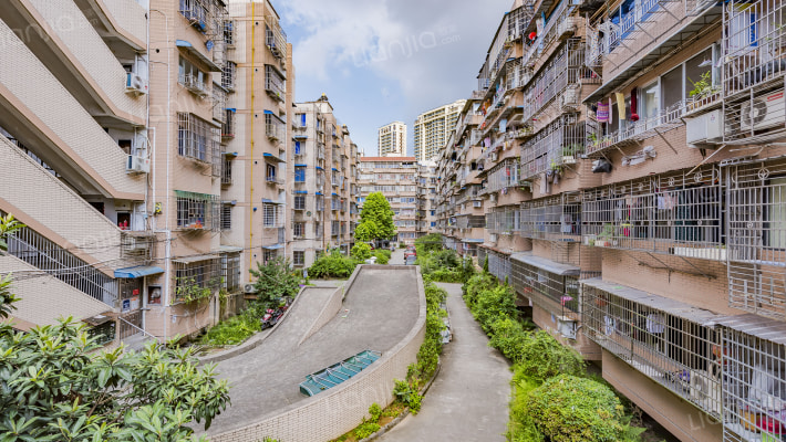 金桥电化小区外景图