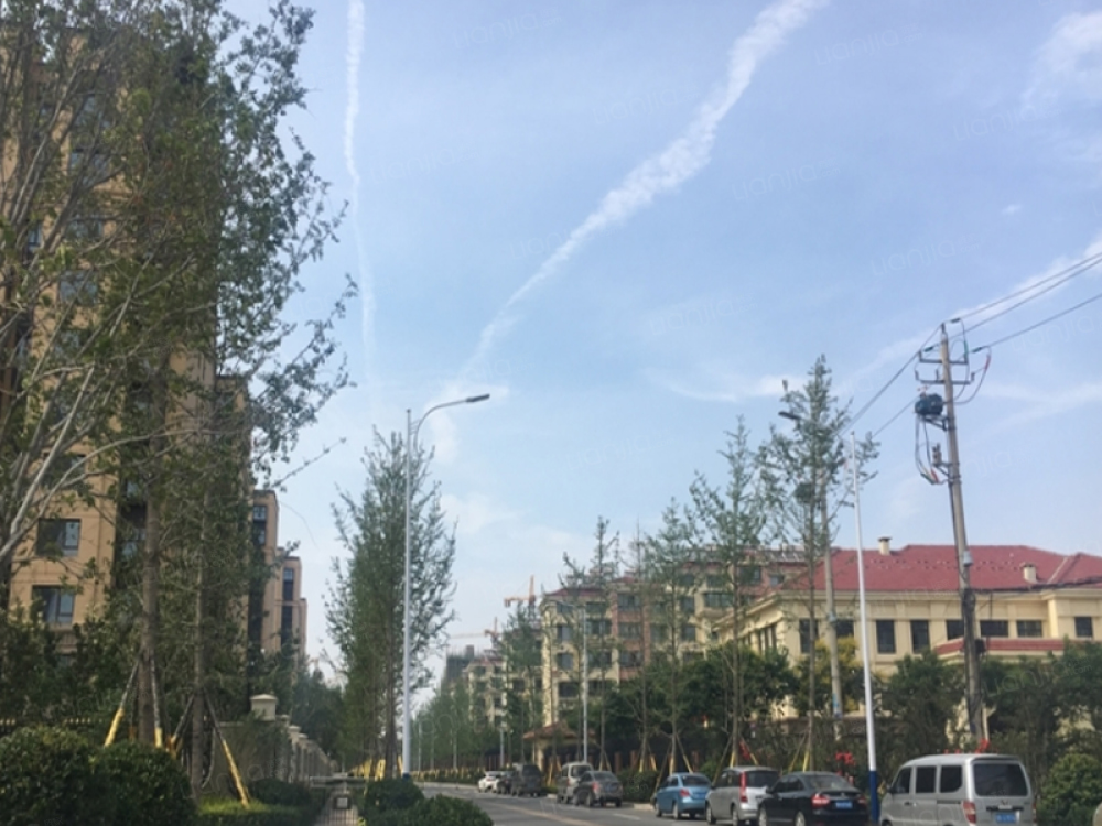 鑫江玫瑰园（花漾里）实景图