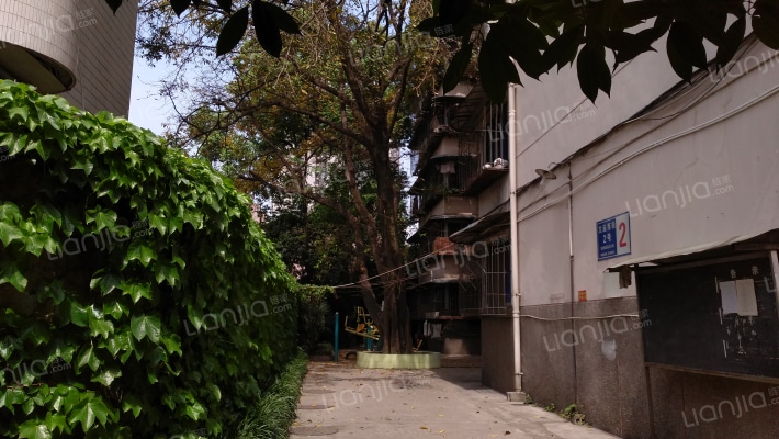 文庙西街2号外景图