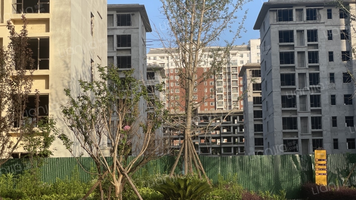 奥山经开澎湃城外景图