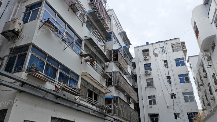 大榆树新居外景图