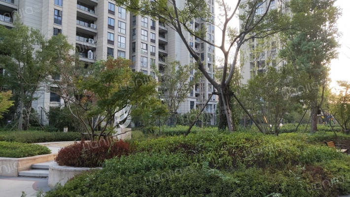 众安西溪未来里外景图