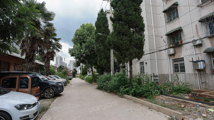 钢红东区外景图