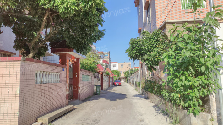 中山市港口镇日新下街12号外景图