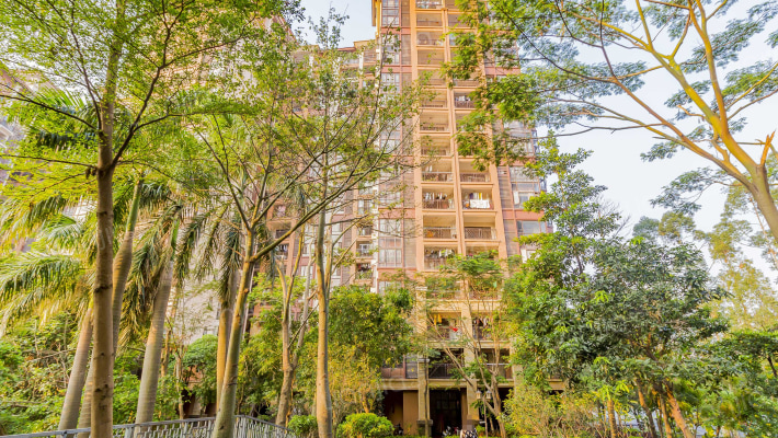 龙光棕榈水岸南区外景图